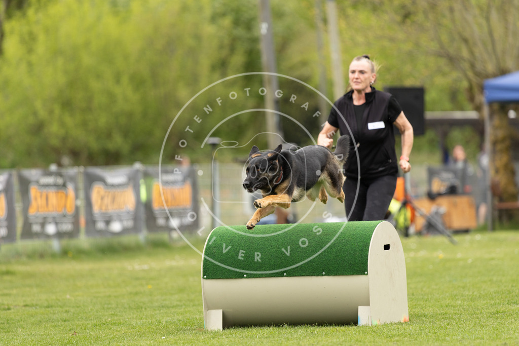 Pfotenfotografie_DV3A8961 | Hundefotografie, Tierfotograf, Pfotenfotografie, Fotoshooting Hund, Hunde Portrait, Hundesport, Hundeportraits, Heideshooting, Hunde, Sportfotograf, Hundefotograf, Turnierhundsport, THS,  - Realisiert mit Pictrs.com
