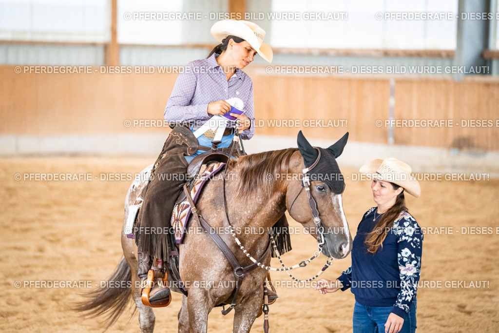 DSC00823 | Pferdegrafie