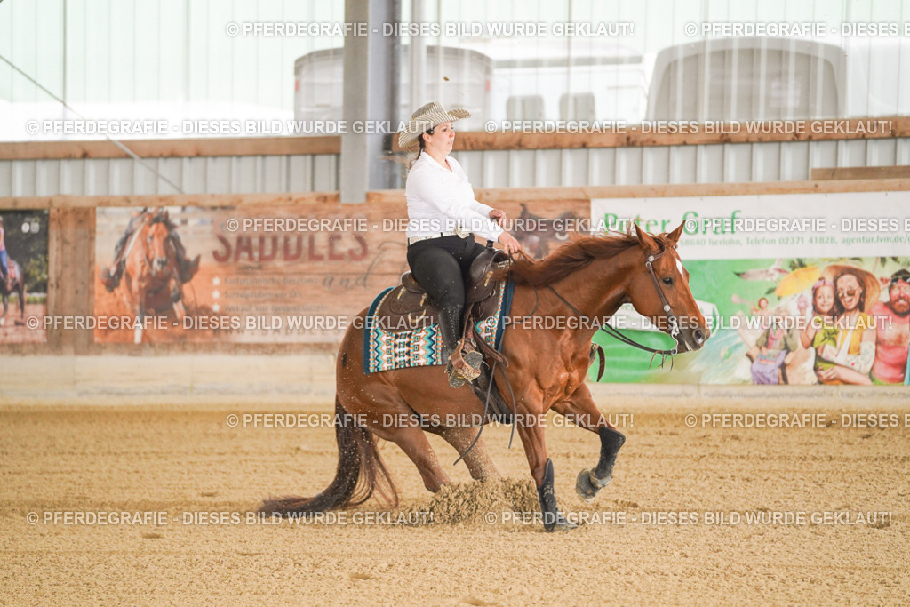 DSC00374 | Pferdegrafie