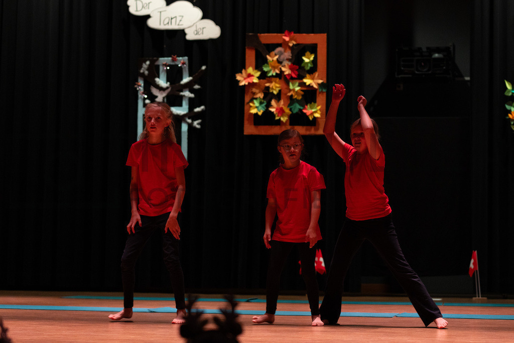 DSC08786 | Tinu Müller Fotografie- Bildershop - Realisiert mit Pictrs.com