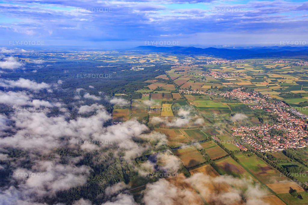 Luftbild: Wolken überm Bienwald am Viehstrich aus Nordosten in Steinfeld im Bundesland Rheinland-Pfalz in Deutschland. Foto: IMG_089970.jpg vom 26.06.2016 durch Werner Riehm/FLY-FOTO.de