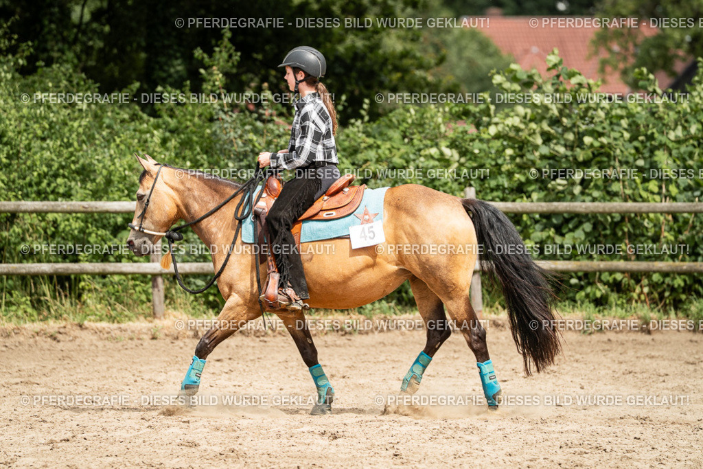 DSC01407 | Pferdegrafie