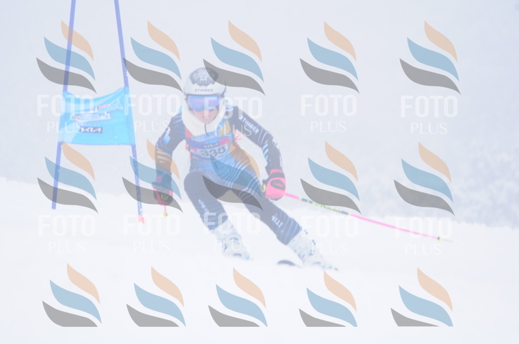 C3620 | holidayphoto