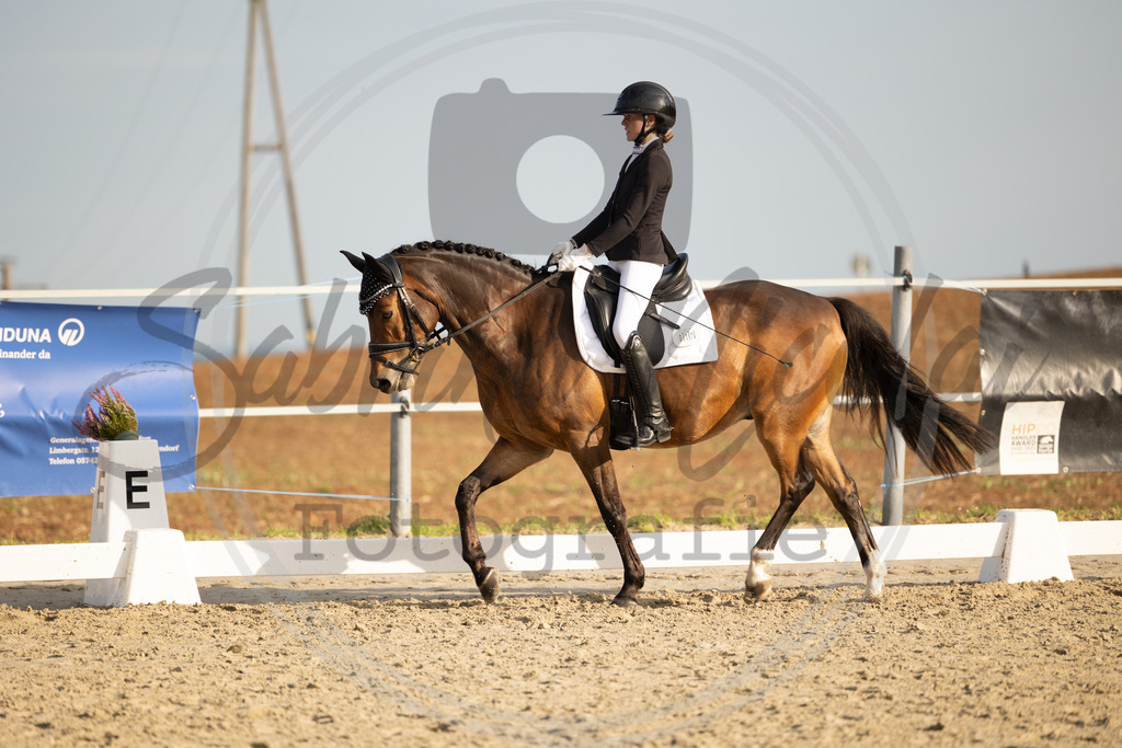 994A0700 | sabrinanicolaifotografie - Realisiert mit Pictrs.com