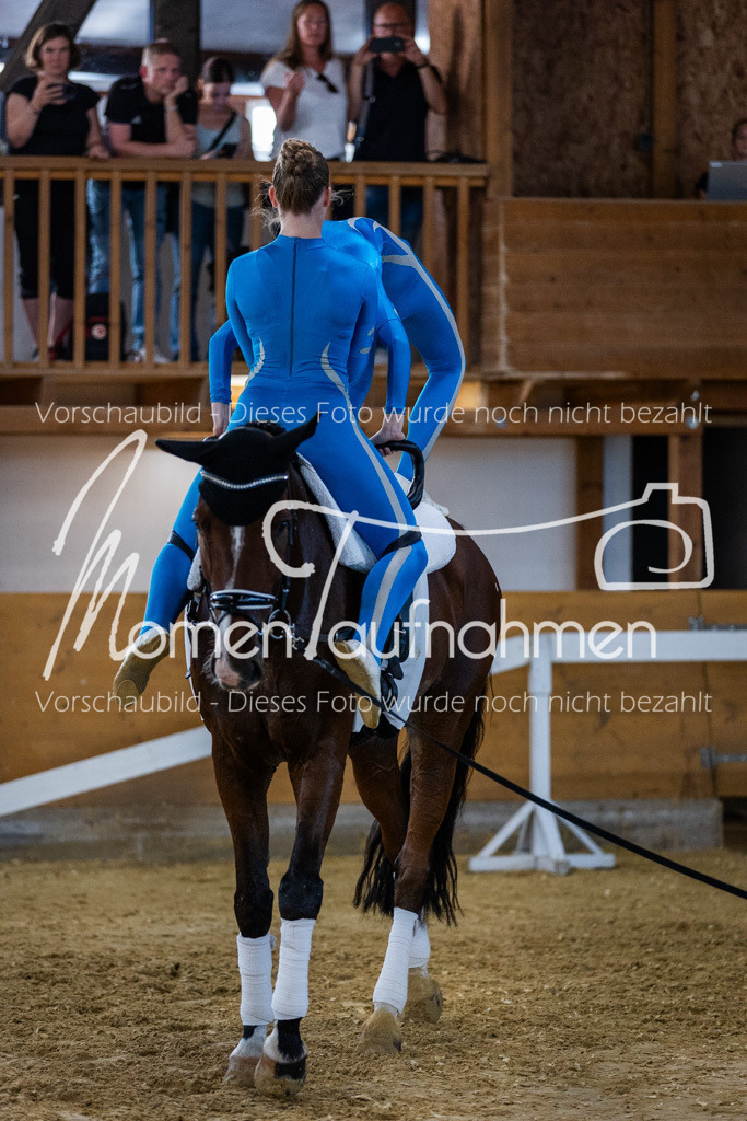 GS-NS-083 | MomenTaufnahmen Pferdesportfotos