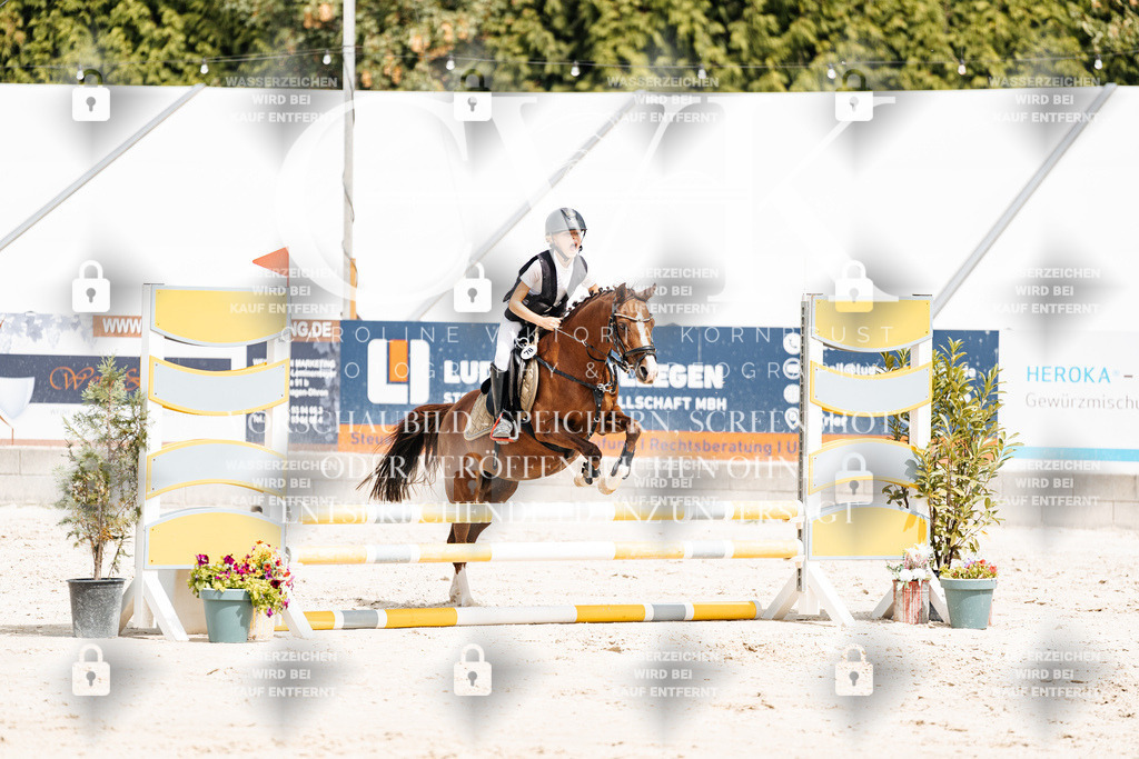 CK906767 | Turnierfotografie Pferdefotografie Trier Rheinland-Pfalz Pferdesport Reitsport Tierfotografie Sportfotografie Pferdevideo Pferdevideografie Equestrianvideography equestrianphotography  - Realisiert mit Pictrs.com