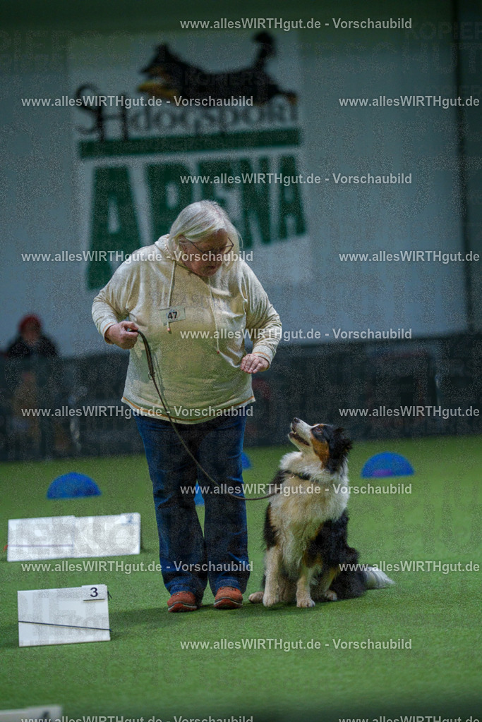 7R501433 | Professionelle Tierfotografie in Mönchengladbach von Daniel Wirth (allesWIRTHgut). Liebevolle & natürliche Bilder von Hunden & Katzen für unvergessliche Erinnerungen.