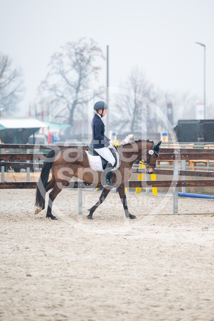 DSC_6150 | sattelsport - Realisiert mit Pictrs.com