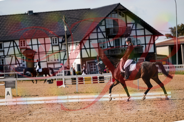 2026_10_03_Siefer-Hof_132124_Z63_82610517 | Professionelle Reitsport-, Turnier- und Eventfotografie von Robert Broda. Galerien mit ausgewählten und bearbeiteten Bildern direkt online ansehen und bestellen.