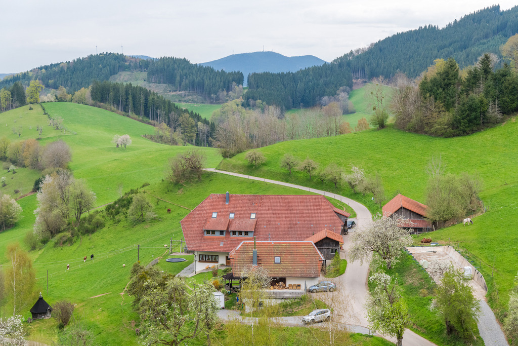 Blick auf den Jungbauernhof | Blick auf den Jungbauernhof - Realisiert mit Pictrs.com