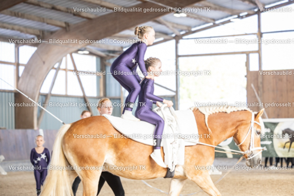 _D5A6798 | Emotionale Pferde- & People-Fotografie rund um Heidelberg, Leimen & Umgebung. Natürliche Fotos von Pferd, Mensch & Familie. Jetzt Termin sichern!