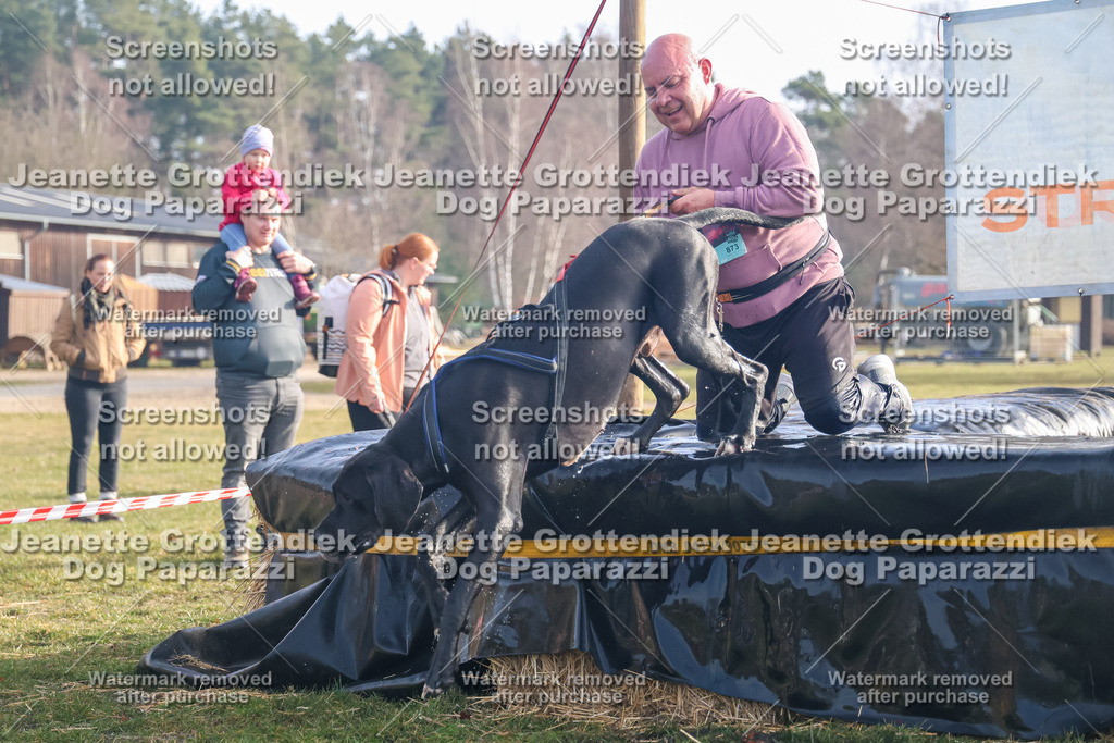 Dog Paparazzi - Strongdog North Mrz26-141 | Dog Paparazzi Jeanette Grottendiek Fotografie & Videografie - Realisiert mit Pictrs.com