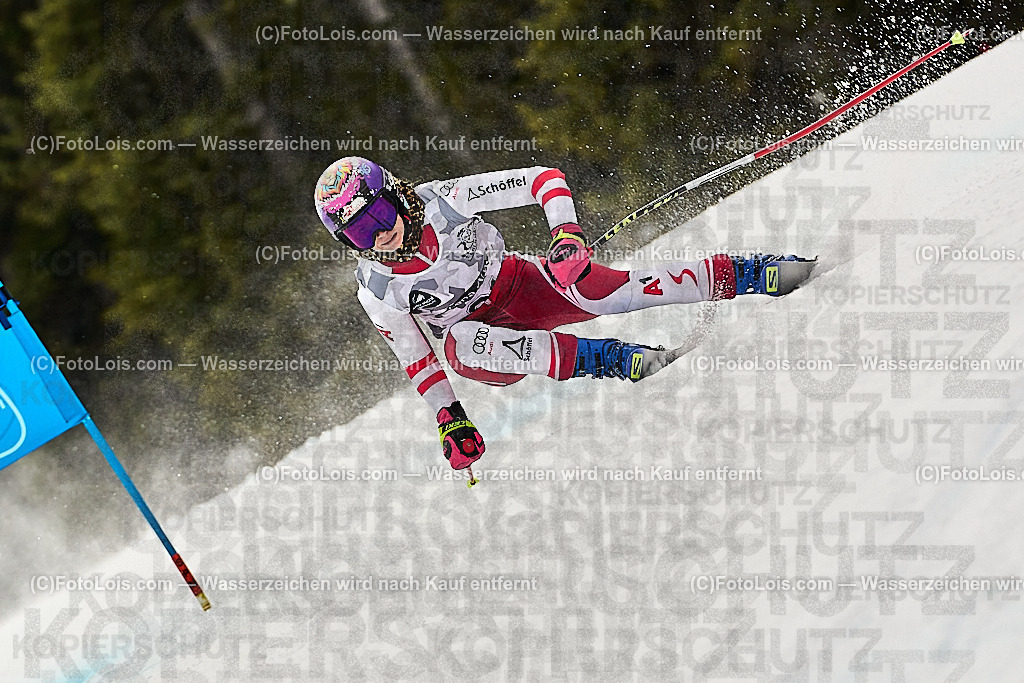 _WWO4616_MASTERS-WM_Reiteralm_CD-SG_Speringer Janine_SPERINGER Janine | FISWORLD CHAMPIONSHIPSMASTERS ALPINE SKIING, 23. – 28. MÄRZ 2026 - REITERALM | STMK | AUT.   Veranstaltet vom Masters-Referat des Deutschen Skiverbandes (DSV). Durchführende Organisation: WSV Pichl-Reiteralm, unterstütutzt von den Bergbahnen REITERALM bei Schladming und SKI AUSTRIA.                            Disziplinen:  Super-G, GiantSlalom, Slalom.                                                 Kategorien:  A (Herrn 30-59 Jahre), B (Herrn ab 60 Jahre), C (Damen 30-59 Jahre), D (Damen ab 60 Jahre).                Rennstrecken:   Gasselhöhe und Muldenliftpiste auf der Reiteralm.