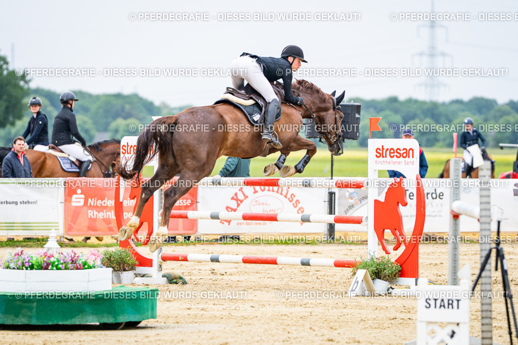 DSC07002 | Pferdegrafie