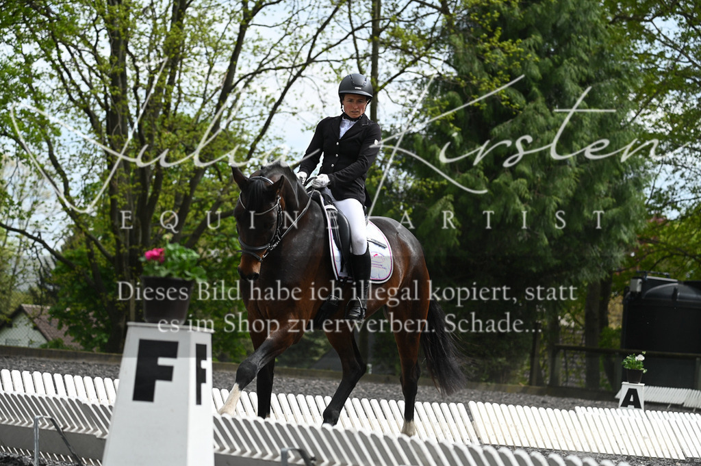 20230512_JK-Röhrsdorf-08-119 | Pferde- und Turnierfotografie in Westsachsen. Pferdeportraits, Auftragszeichnungen und intuitive Kunst.