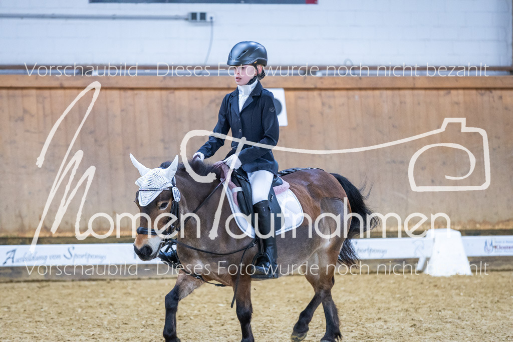 Sth-WBO25-RWBST-044 | MomenTaufnahmen Pferdesportfotos