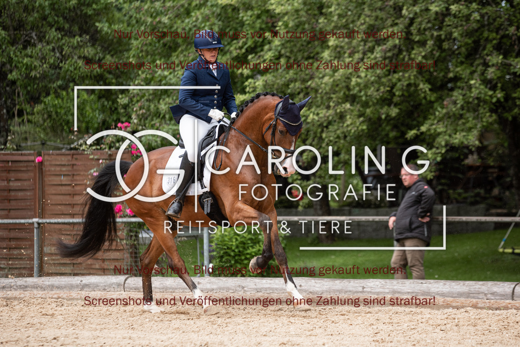 DSC_3149 | Turnierfotografin Carolin Gieschke,Reitsport Turnierfotografie Carolin G Fotografie | Turnierfotos aus Kirchheim/Teck, Esslingen, Stuttgart und dem Bodenseekreis