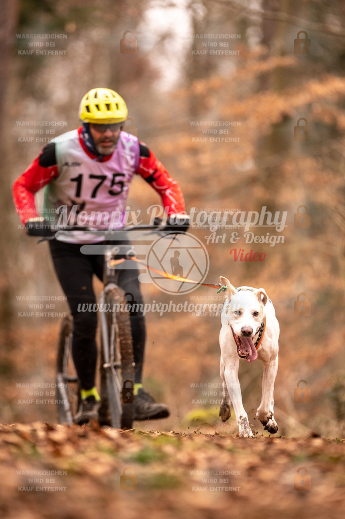 AKM_ST_2023_SAM_Scooter-48 | PayLife