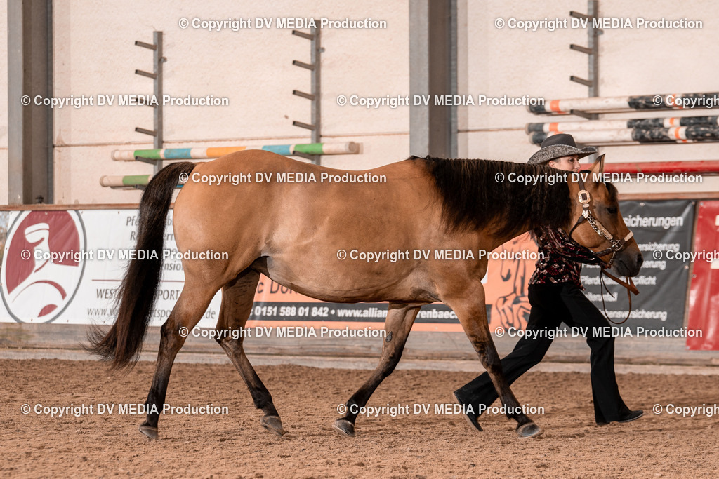 LM Heiligenwald Tag 1-331 | dv-media-shop - Realisiert mit Pictrs.com