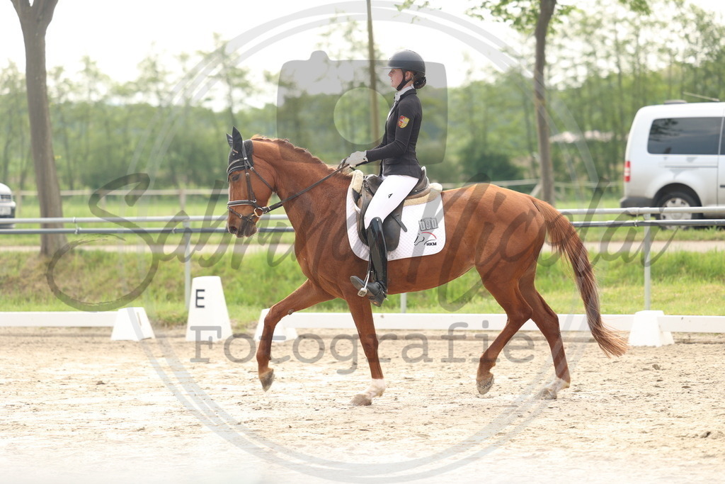 994A6280 | sabrinanicolaifotografie - Realisiert mit Pictrs.com