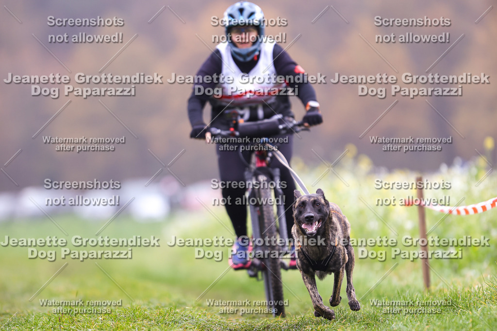 Dog Paparazzi - Visbeck 25 -205 | Dog Paparazzi Jeanette Grottendiek Fotografie & Videografie - Realisiert mit Pictrs.com