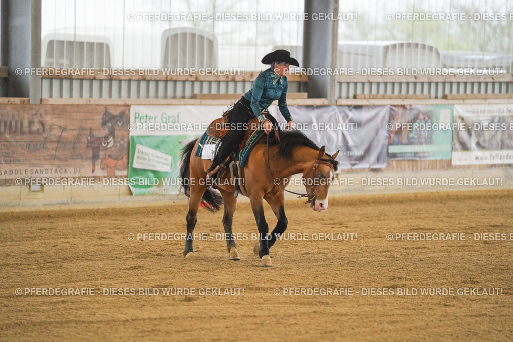 DSC09791 | Pferdegrafie