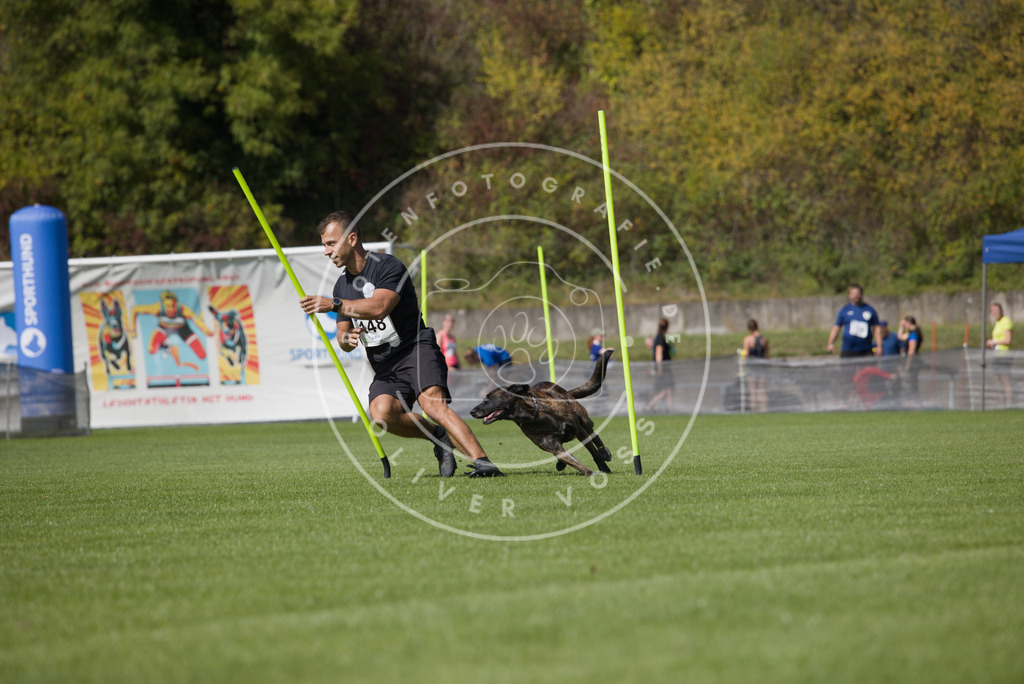 0L8A3112 | Hundefotografie, Tierfotograf, Pfotenfotografie, Fotoshooting Hund, Hunde Portrait, Hundesport, Hundeportraits, Heideshooting, Hunde, Sportfotograf, Hundefotograf, Turnierhundsport, THS,  - Realisiert mit Pictrs.com