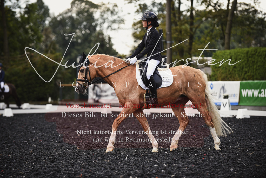 DSC_3827 | Pferde- und Turnierfotografie in Westsachsen. Pferdeportraits, Auftragszeichnungen und intuitive Kunst.