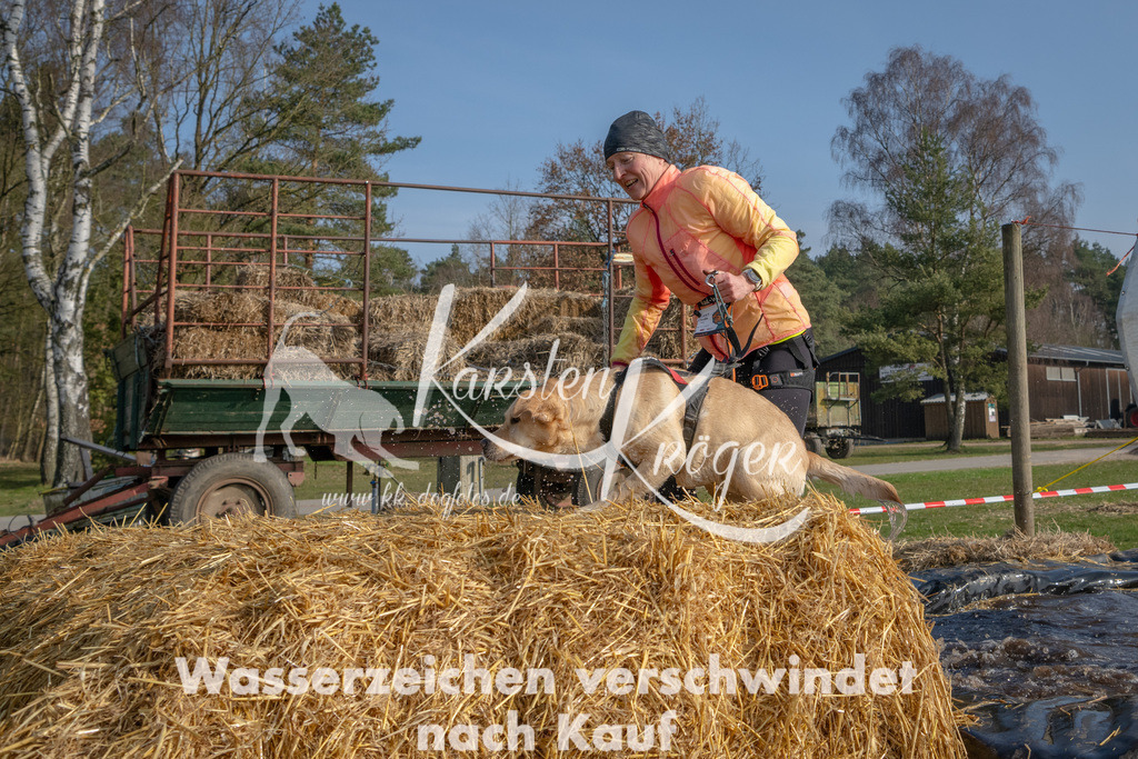 _ZZ90417 | kk-dogfotos
