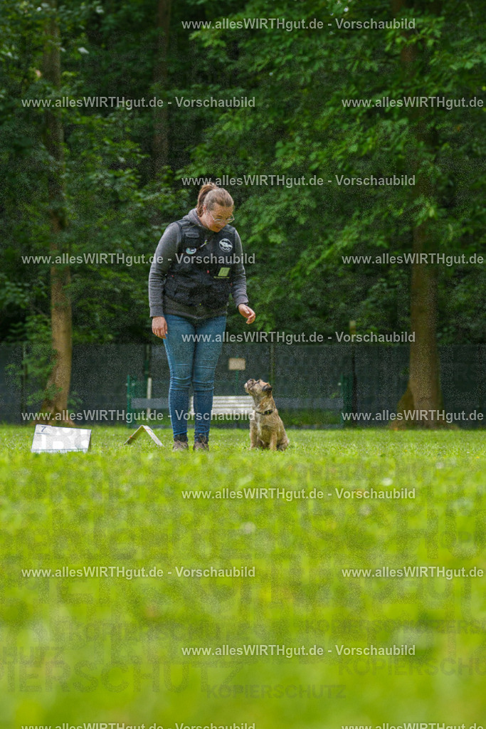 @allesWIRTHgut_Tierfotografie - www.allesWIRTHgut.de - 7R501939 | Professionelle Tierfotografie in Mönchengladbach von Daniel Wirth (allesWIRTHgut). Liebevolle & natürliche Bilder von Hunden & Katzen für unvergessliche Erinnerungen.