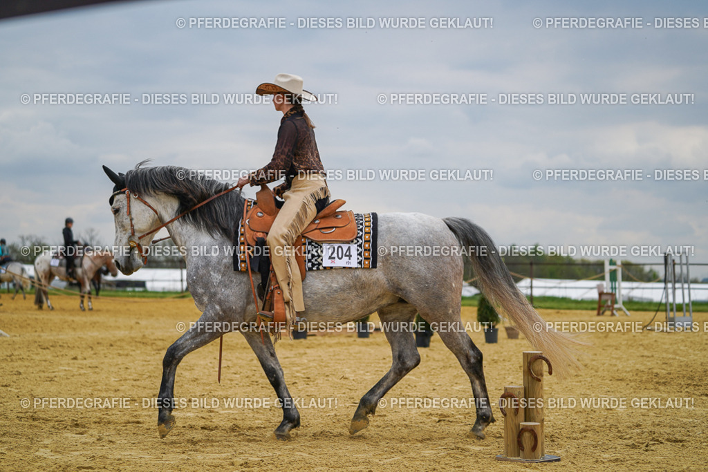 DSC07303 | Pferdegrafie