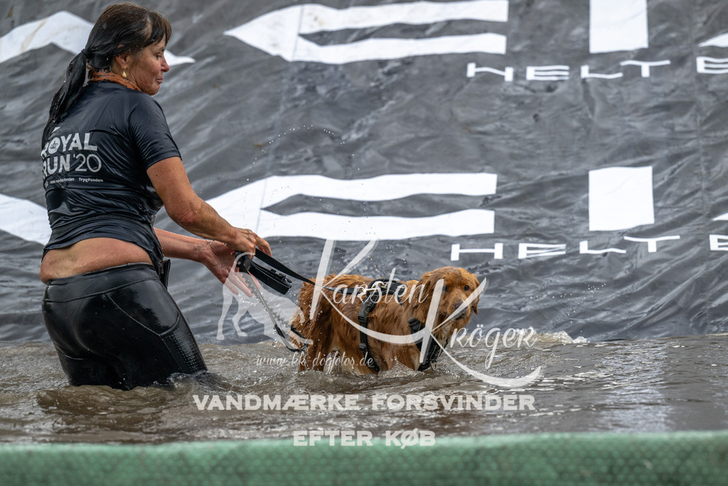1350_ZZ93530 | kk-dogfotos