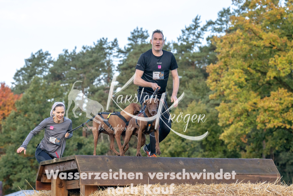 0856_ZZ91790-Bearbeitet | kk-dogfotos