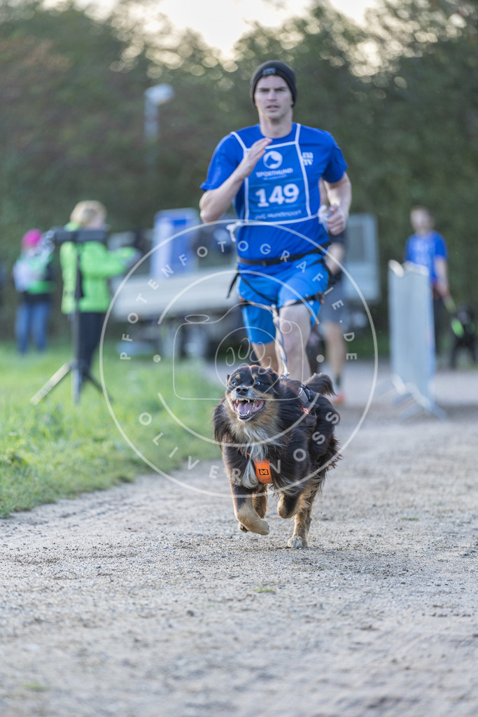 Pfotenfotografie.de_DV3A2807 | Hundefotografie, Tierfotograf, Pfotenfotografie, Fotoshooting Hund, Hunde Portrait, Hundesport, Hundeportraits, Heideshooting, Hunde, Sportfotograf, Hundefotograf, Turnierhundsport, THS, canicross - Realisiert mit Pictrs.com