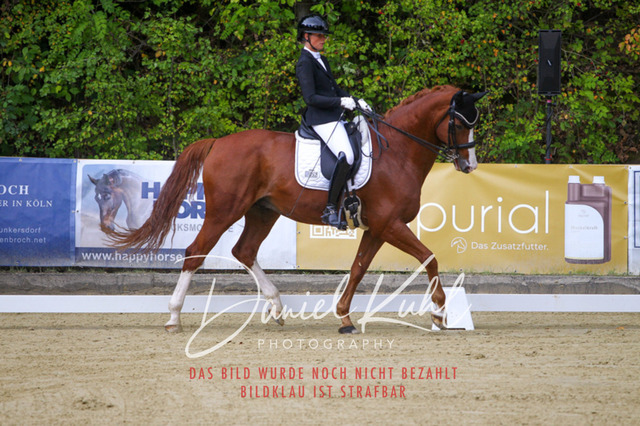 DKP40706 | Turniersportfotografie; Pferdefotografie; Dressurfotografie