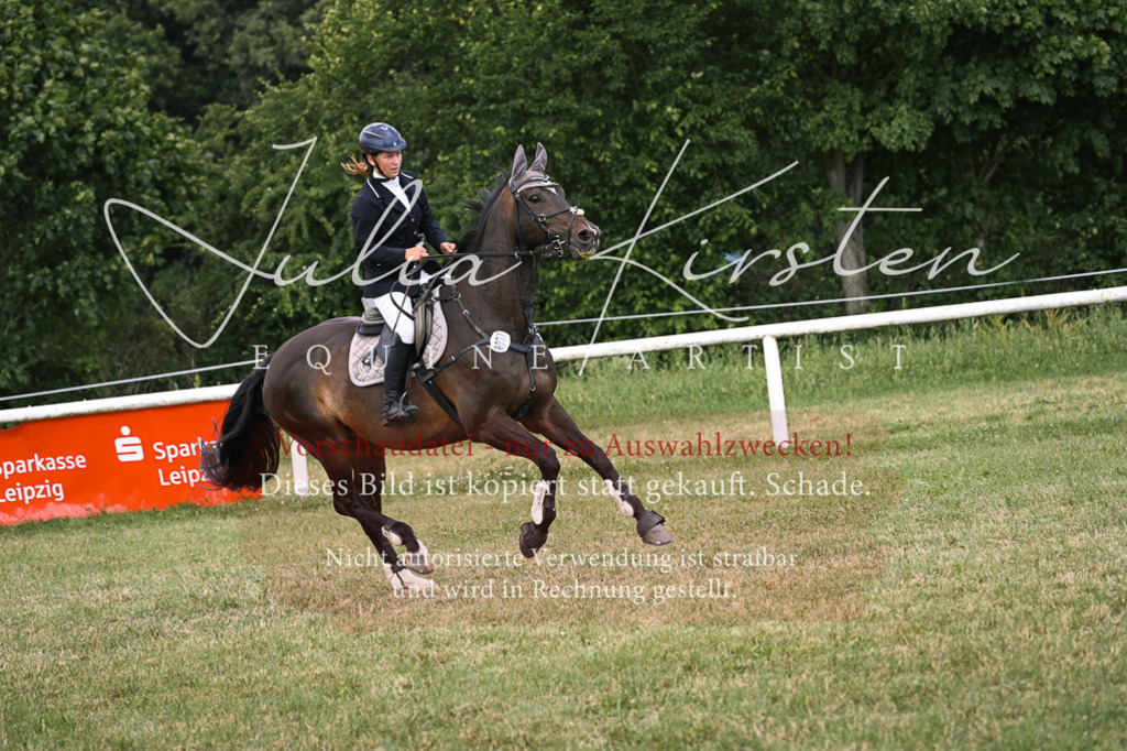 DSC_0872 | Pferde- und Turnierfotografie in Westsachsen. Pferdeportraits, Auftragszeichnungen und intuitive Kunst.