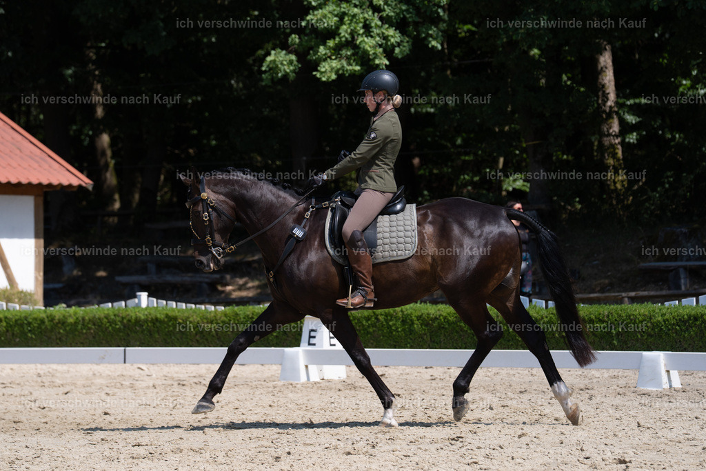 WS_DR_19_sinafilmart_IN03113 | working equitationturnier fotograf videograf stoibphotography marixx film working equitation deutschland reitsport turnierfotografie eventfotografie equestrian events
