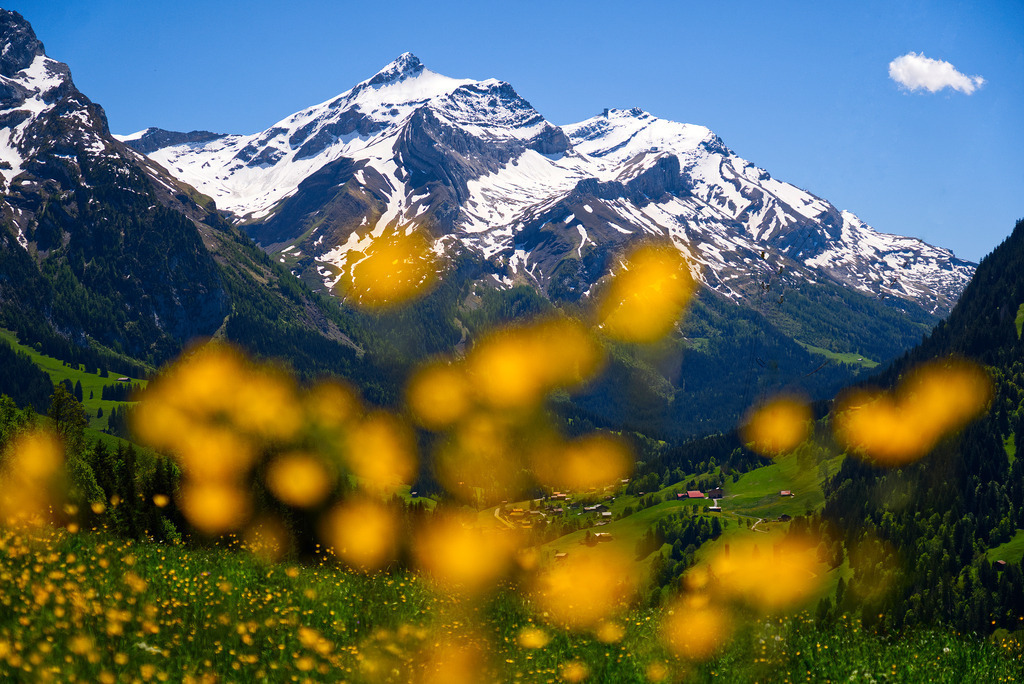 Oldenhorn und Diablerets | In diesem Shop werden vorwiegend künstlerisch hochstehende Aufnahmen aus dem Bereich der Naturfotografie zum Verkauf angeboten. - In this store mainly artistic high quality shots from the field of nature photography are offered for sale. - Realisiert mit Pictrs.com