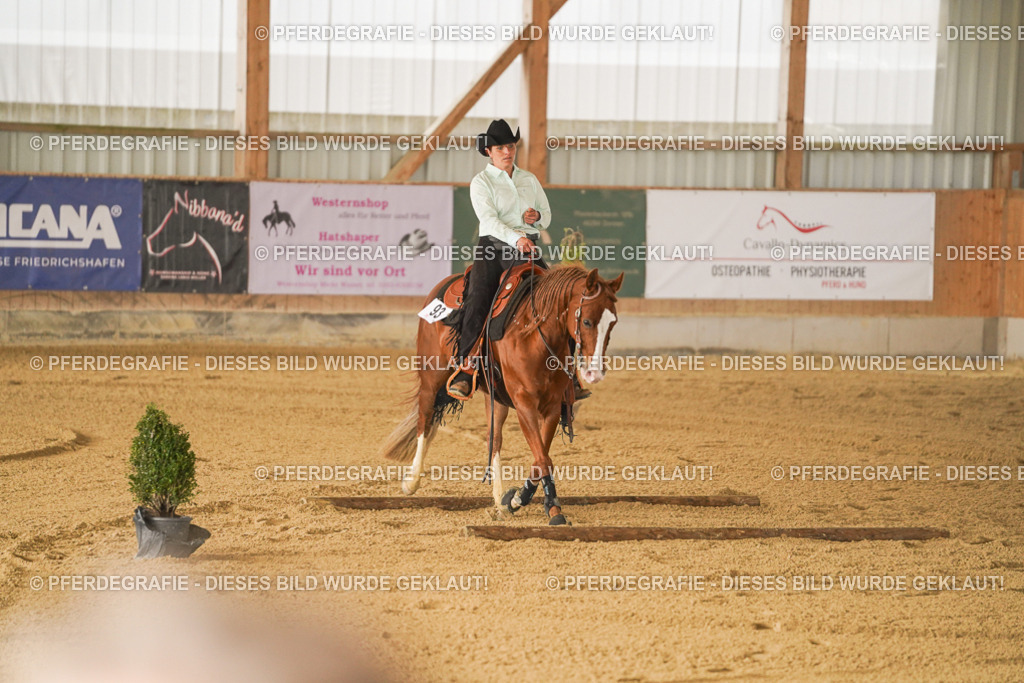 DSC03390 | Pferdegrafie