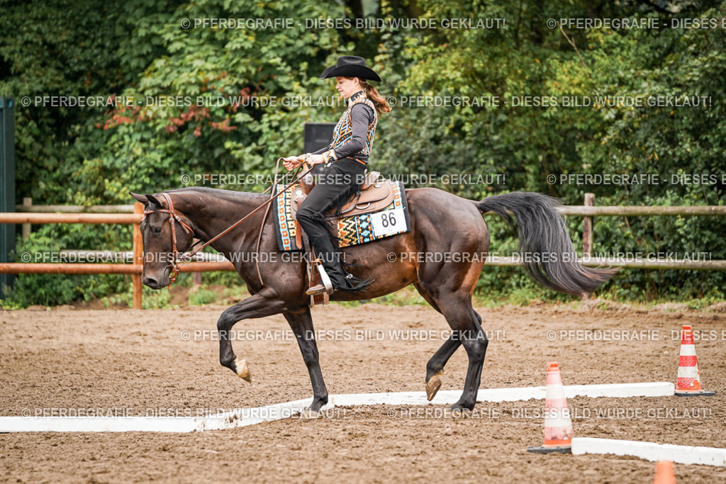 DSC04330 | Pferdegrafie