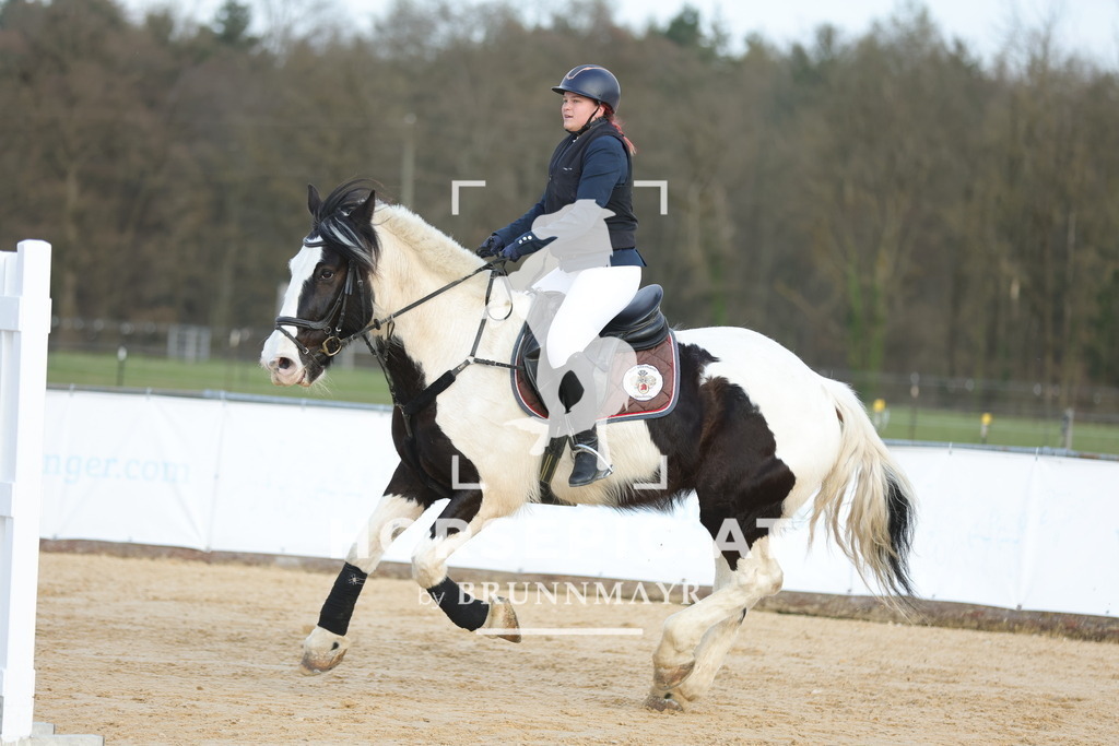 0P6A8923 | Willkommen bei Brunnmayr - Design & Fotografie – Ihrem Spezialisten für Reitturniere und Pferdeveranstaltungen in Oberösterreich, Salzburg und Bayern! Seit über 17 Jahren sind wir leidenschaftlich dabei.