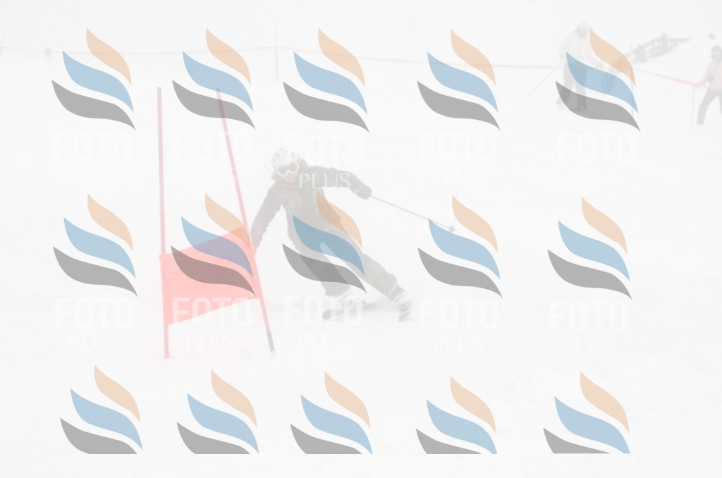 A4979 | holidayphoto