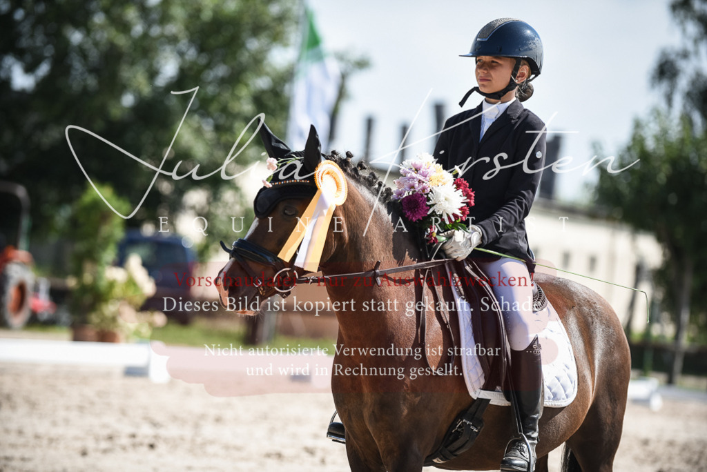DSC_8758 | Pferde- und Turnierfotografie in Westsachsen. Pferdeportraits, Auftragszeichnungen und intuitive Kunst.