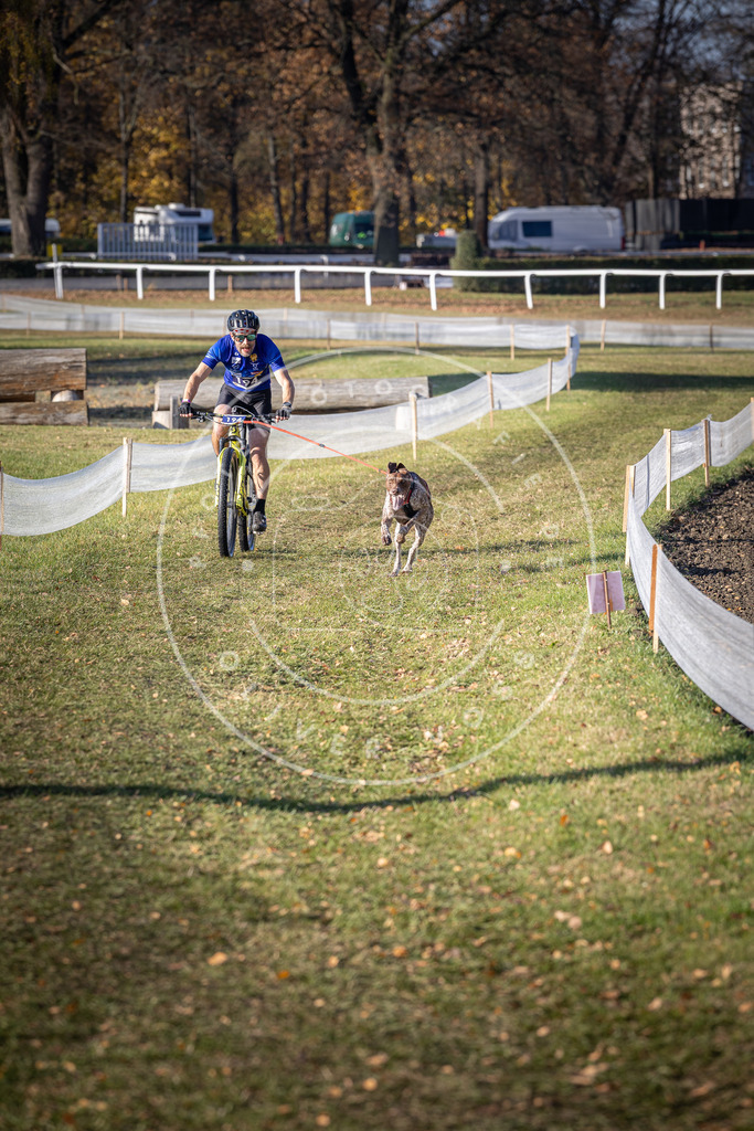 CaniXpix_DV3A2535 | Hundefotografie, Tierfotograf, Pfotenfotografie, Fotoshooting Hund, Hunde Portrait, Hundesport, Hundeportraits, Heideshooting, Hunde, Sportfotograf, Hundefotograf, Turnierhundsport, THS,  - Realisiert mit Pictrs.com