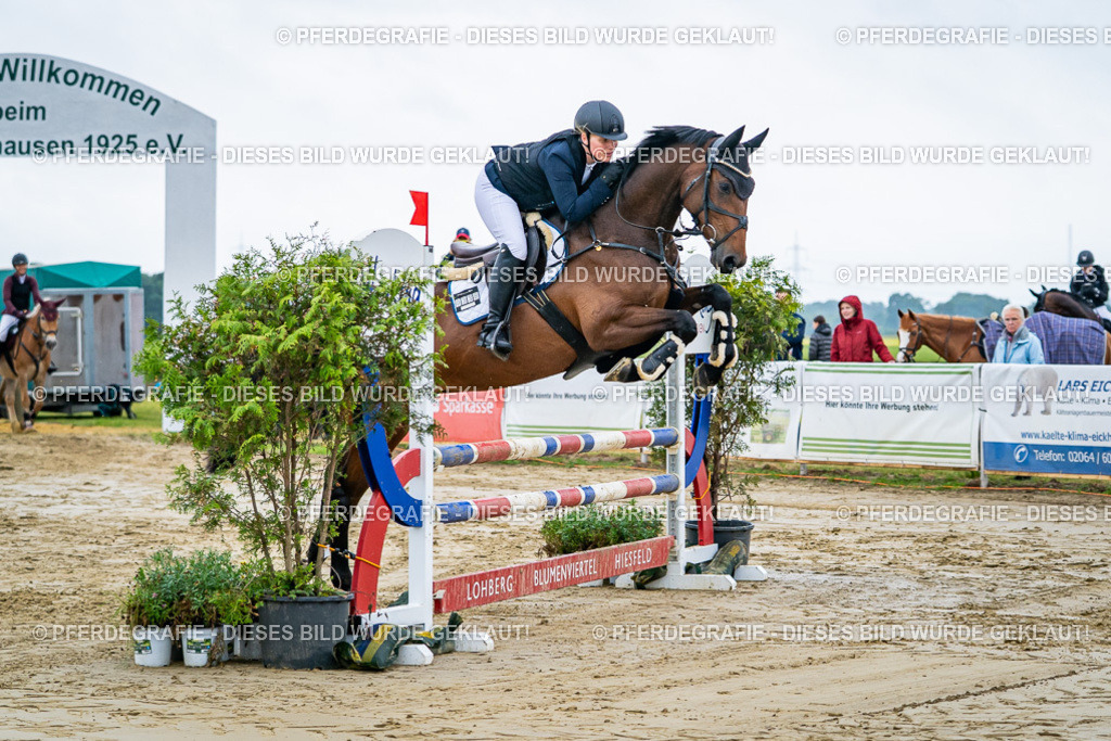 DSC02202 | Pferdegrafie