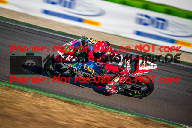 MaZZes_Fotomatrix_20230924_6007705_7718 | SSP300