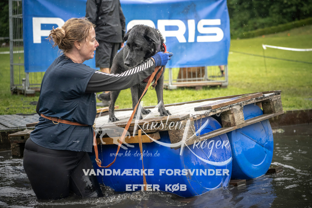 1553_ZZ95465 | kk-dogfotos