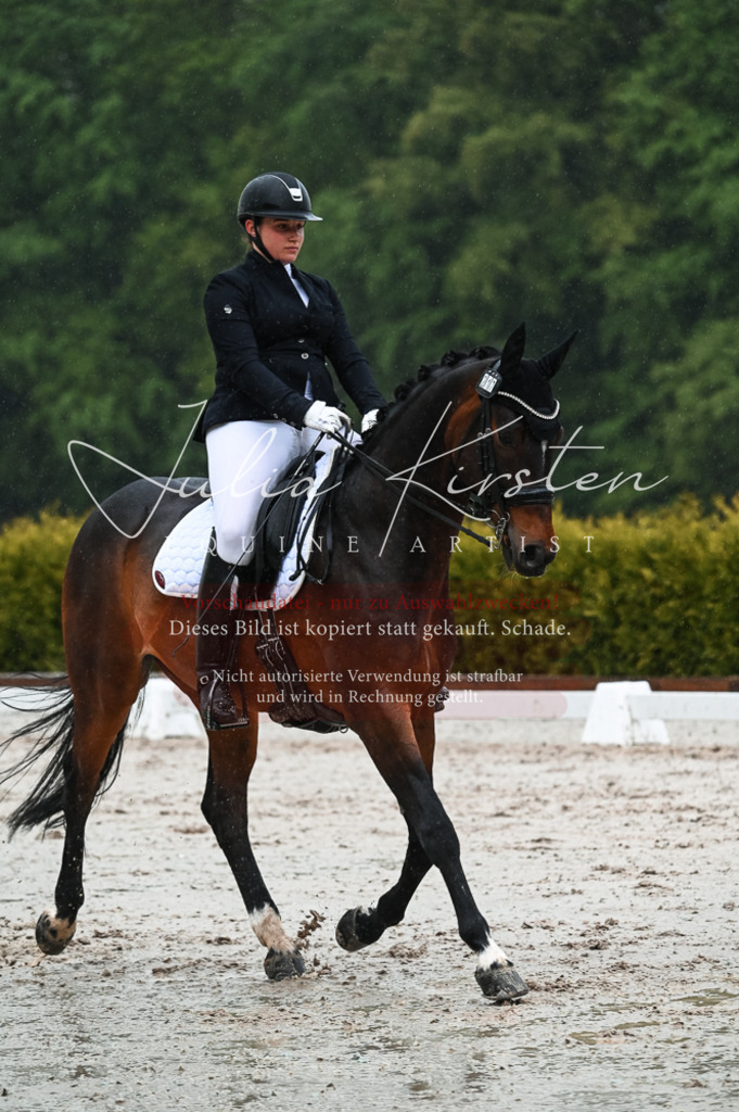 DSC_4528 | Pferde- und Turnierfotografie in Westsachsen. Pferdeportraits, Auftragszeichnungen und intuitive Kunst.