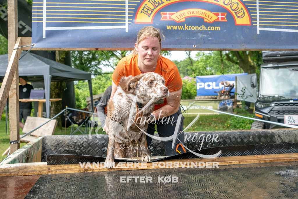 1036_ZZ91491 | kk-dogfotos