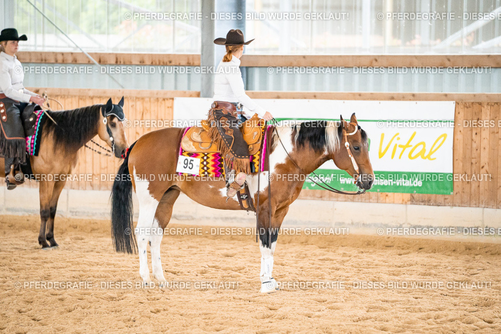 DSC01013 | Pferdegrafie